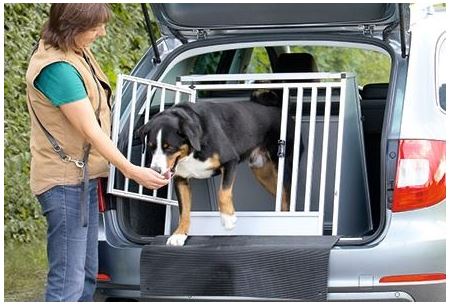 Reisebox für Hunde
